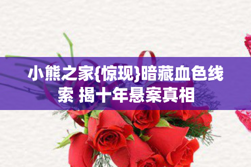 小熊之家{惊现}暗藏血色线索 揭十年悬案真相 小熊之家{惊现}暗藏血色线索 揭十年悬案真相