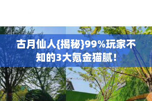 古月仙人{揭秘}99%玩家不知的3大氪金猫腻! 古月仙人{揭秘}99%玩家不知的3大氪金猫腻!