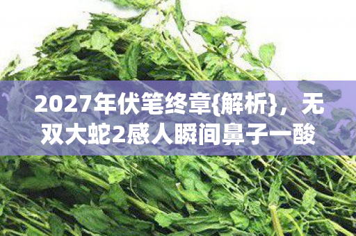 2027年伏笔终章{解析}，无双大蛇2感人瞬间鼻子一酸