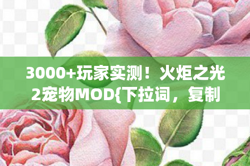 3000+玩家实测!火炬之光2宠物MOD{下拉词,复制BUG}惊现 3000+玩家实测!火炬之光2宠物MOD{下拉词,复制BUG}惊现