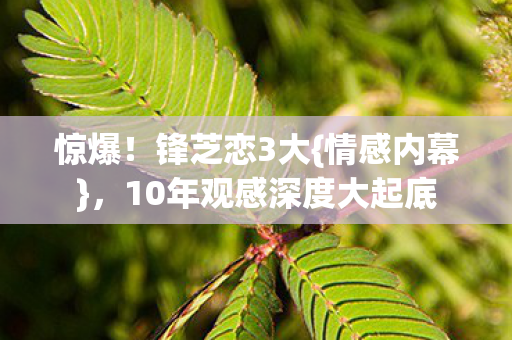 惊爆!锋芝恋3大{情感内幕},10年观感深度大起底 惊爆!锋芝恋3大{情感内幕},10年观感深度大起底
