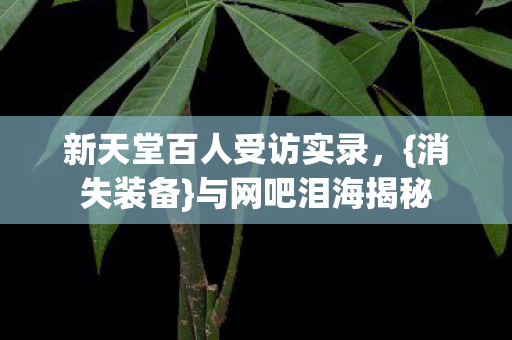 新天堂百人受访实录，{消失装备}与网吧泪海揭秘