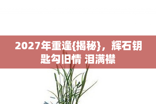 2027年重逢{揭秘},辉石钥匙勾旧情 泪满襟 2027年重逢{揭秘},辉石钥匙勾旧情 泪满襟