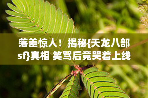 落差惊人！揭秘{天龙八部sf}真相 笑骂后竟哭着上线