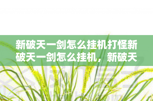 新破天一剑怎么挂机打怪新破天一剑怎么挂机，新破天一剑挂机打怪攻略，轻松实现自动打怪