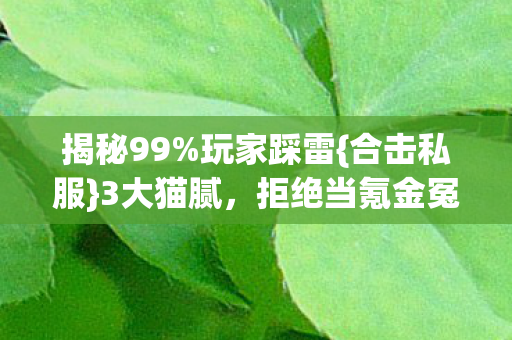 揭秘99%玩家踩雷{合击私服}3大猫腻，拒绝当氪金冤种！
