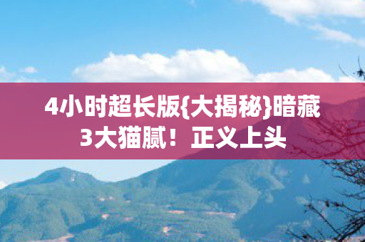 4小时超长版{大揭秘}暗藏3大猫腻!正义上头 4小时超长版{大揭秘}暗藏3大猫腻!正义上头