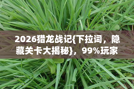 2026猎龙战记{下拉词,隐藏关卡大揭秘},99%玩家不知的秘密 2026猎龙战记{下拉词,隐藏关卡大揭秘},99%玩家不知的秘密