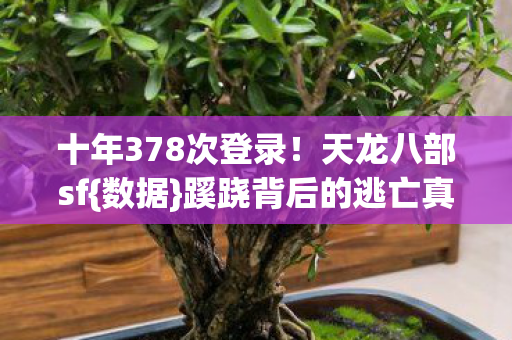 蹊跷背后的逃亡真相图片