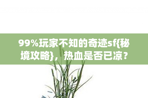 99%玩家不知的奇迹sf{秘境攻略},热血是否已凉? 99%玩家不知的奇迹sf{秘境攻略},热血是否已凉?