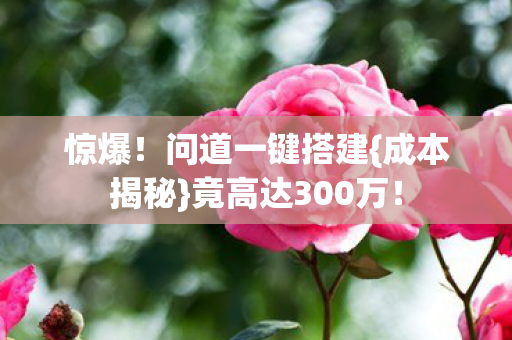 惊爆!问道一键搭建{成本揭秘}竟高达300万! 惊爆!问道一键搭建{成本揭秘}竟高达300万!