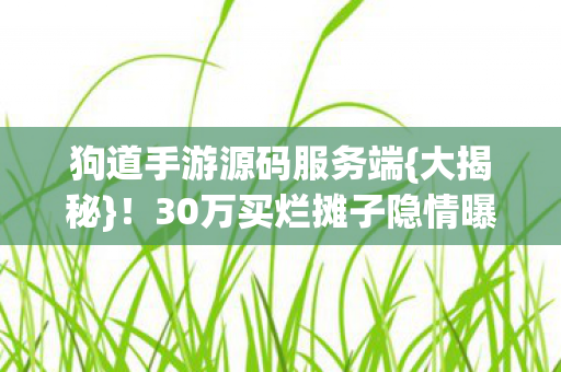 狗道手游源码服务端{大揭秘}!30万买烂摊子隐情曝光 狗道手游源码服务端{大揭秘}!30万买烂摊子隐情曝光