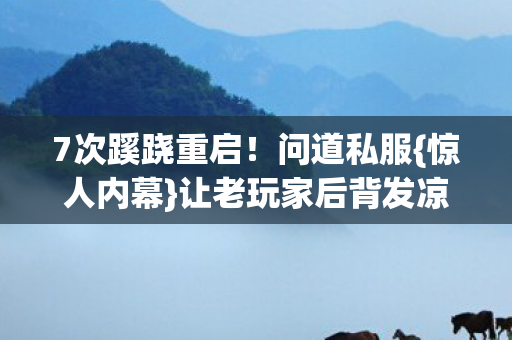 7次蹊跷重启！问道私服{惊人内幕}让老玩家后背发凉