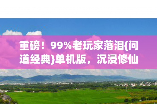 重磅！99%老玩家落泪{问道经典}单机版，沉浸修仙实录