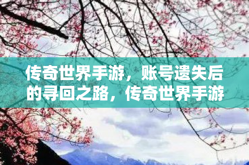 传奇世界手游账号遗失后的寻回之路图片