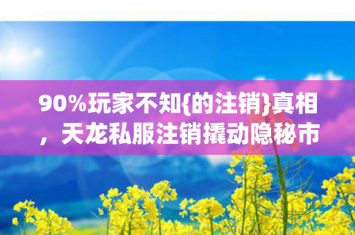 天龙私服注销撬动隐秘市场图片