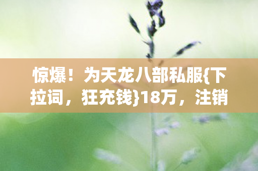 为天龙八部私服图片
