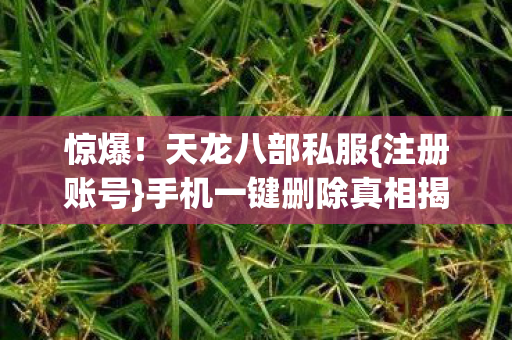 手机一键删除真相揭秘图片