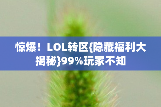 惊爆!LOL转区{隐藏福利大揭秘}99%玩家不知 惊爆!LOL转区{隐藏福利大揭秘}99%玩家不知