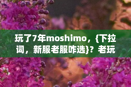玩了7年moshimo，{下拉词，新服老服咋选}？老玩家失眠求解！