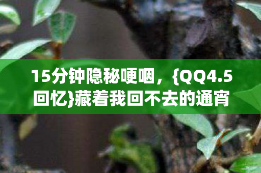 15分钟隐秘哽咽,{QQ4.5回忆}藏着我回不去的通宵夜 15分钟隐秘哽咽,{QQ4.5回忆}藏着我回不去的通宵夜