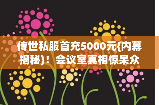 传世私服首充5000元图片