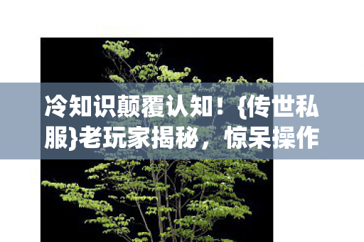 冷知识颠覆认知!{传世私服}老玩家揭秘,惊呆操作 冷知识颠覆认知!{传世私服}老玩家揭秘,惊呆操作
