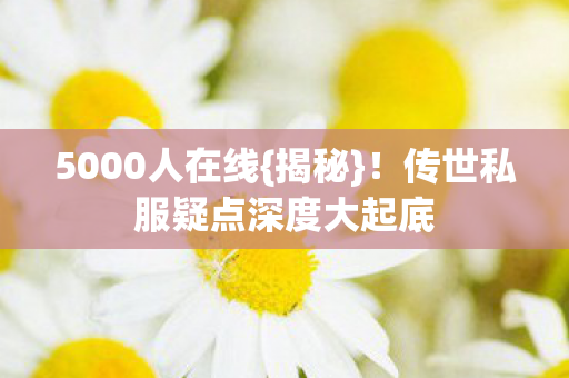 5000人在线{揭秘}！传世私服疑点深度大起底