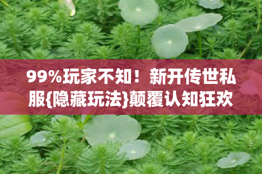 99%玩家不知！新开传世私服{隐藏玩法}颠覆认知狂欢