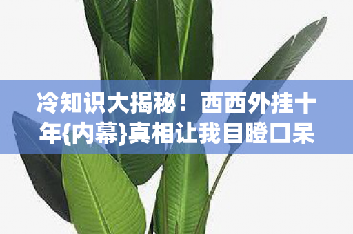 冷知识大揭秘!西西外挂十年{内幕}真相让我目瞪口呆 冷知识大揭秘!西西外挂十年{内幕}真相让我目瞪口呆