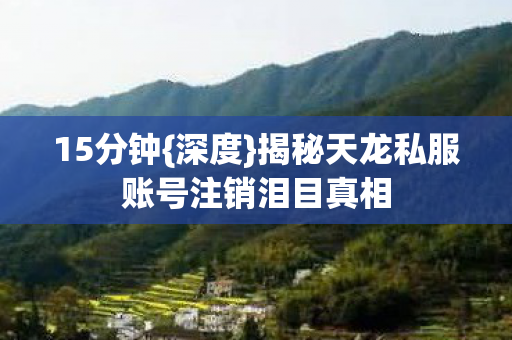 揭秘天龙私服账号注销泪目真相图片