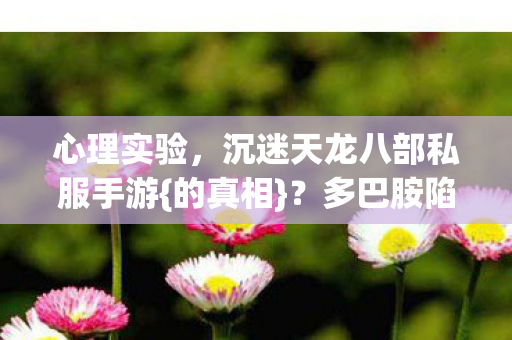 沉迷天龙八部私服手游图片