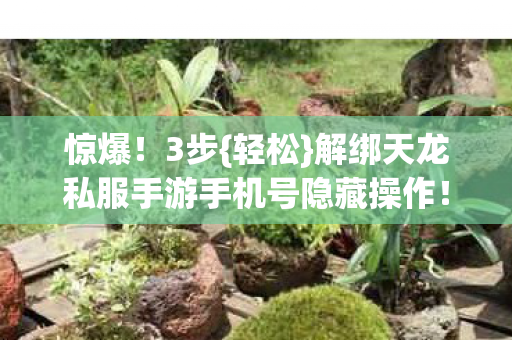 解绑天龙私服手游手机号隐藏操作图片