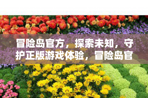 冒险岛官方，探索未知，守护正版游戏体验，冒险岛官方，守护正版游戏体验，探索未知之旅