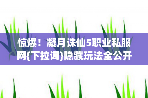 凝月诛仙5职业私服网图片