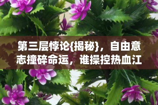 自由意志撞碎命运图片