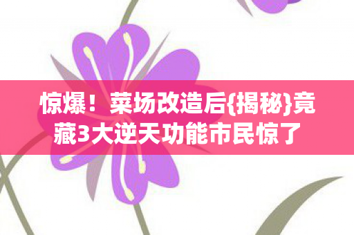 惊爆！菜场改造后{揭秘}竟藏3大逆天功能市民惊了