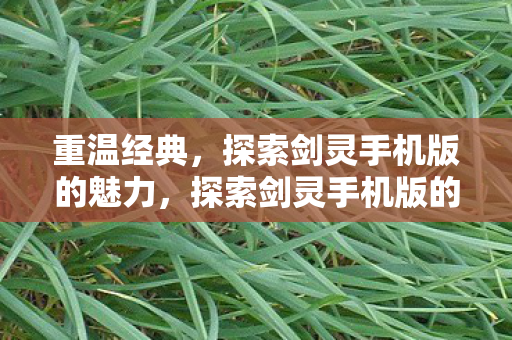 重温经典,探索剑灵手机版的魅力,探索剑灵手机版的经典魅力 重温经典,探索剑灵手机版的魅力,探索剑灵手机版的经典魅力