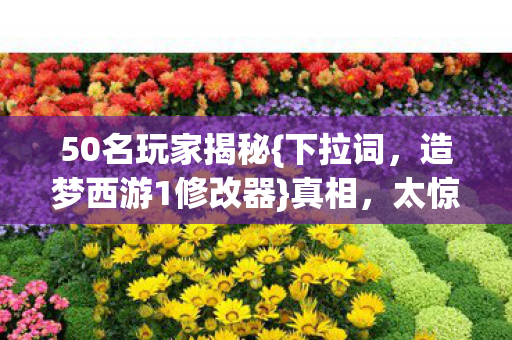 50名玩家揭秘{下拉词,造梦西游1修改器}真相,太惊人! 50名玩家揭秘{下拉词,造梦西游1修改器}真相,太惊人!