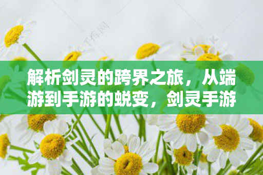 解析剑灵的跨界之旅，从端游到手游的蜕变，剑灵手游，从端游到移动端的华丽蜕变