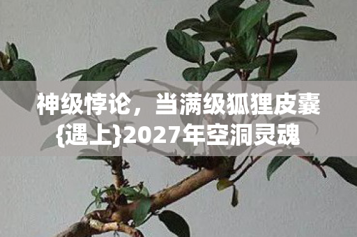 神级悖论,当满级狐狸皮囊{遇上}2027年空洞灵魂 神级悖论,当满级狐狸皮囊{遇上}2027年空洞灵魂