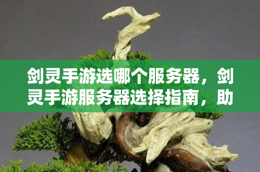 剑灵手游选哪个服务器,剑灵手游服务器选择指南,助你找到最佳游戏体验! 剑灵手游选哪个服务器,剑灵手游服务器选择指南,助你找到最佳游戏体验!