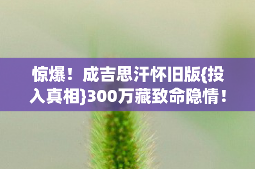 300万藏致命隐情图片