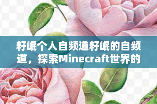 探索Minecraft世界的无限可能图片