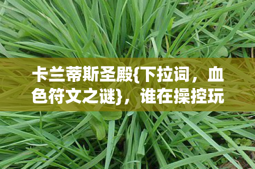 卡兰蒂斯圣殿{下拉词,血色符文之谜},谁在操控玩家灵魂? 卡兰蒂斯圣殿{下拉词,血色符文之谜},谁在操控玩家灵魂?