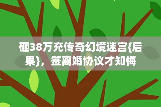 砸38万充传奇幻境迷宫{后果},签离婚协议才知悔 砸38万充传奇幻境迷宫{后果},签离婚协议才知悔
