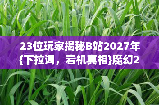 23位玩家揭秘B站2027年{下拉词，宕机真相}魔幻24小时