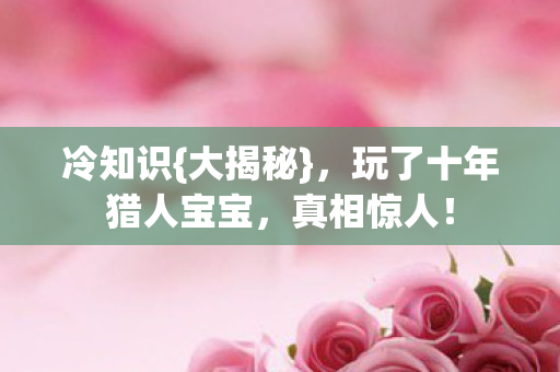冷知识{大揭秘}，玩了十年猎人宝宝，真相惊人！