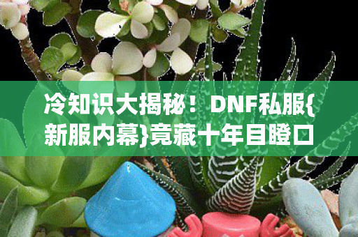 冷知识大揭秘！DNF私服{新服内幕}竟藏十年目瞪口呆谎言