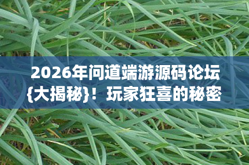 2026年问道端游源码论坛{大揭秘}！玩家狂喜的秘密